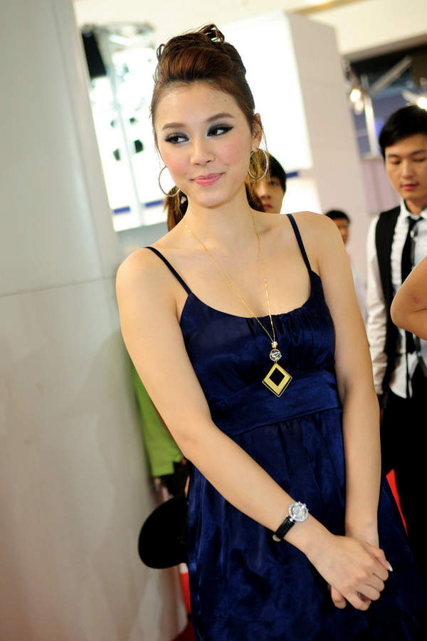 靓丽车模亮相2011北京车展套图(图34)