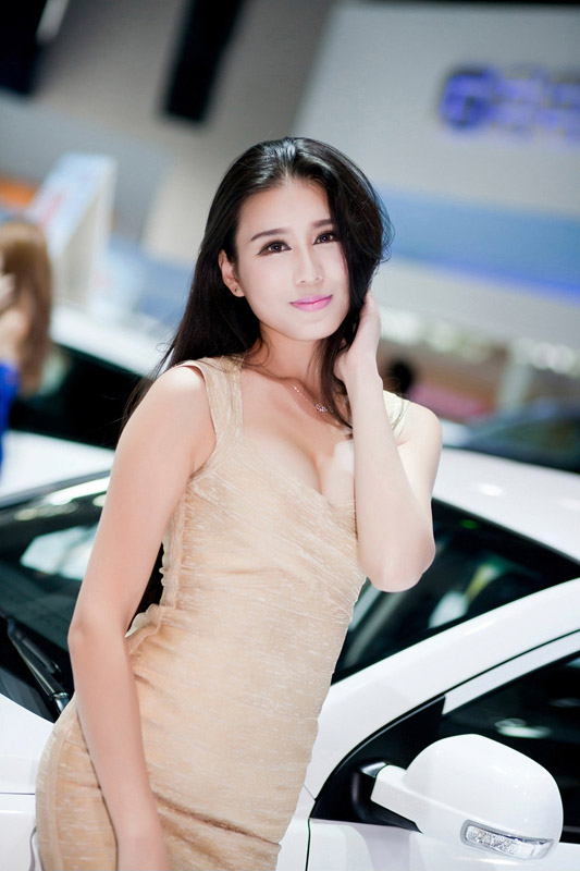 2014广西南宁车展美女齐亮相(图12)