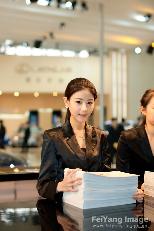 北京2010国际车展靓丽车模(图14)