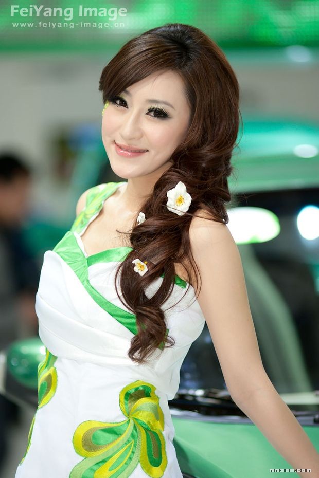 北京2010国际车展靓丽车模(图9)