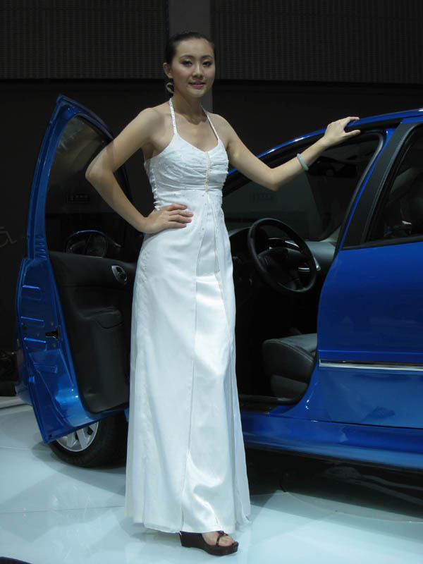 08年广州车展上的香车美女(图10)