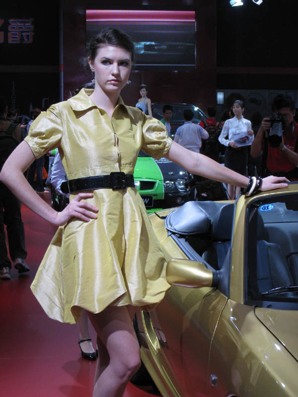 08年广州车展上的香车美女(图7)
