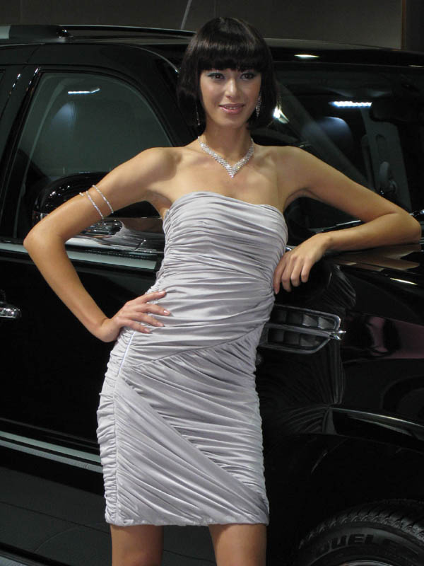 08年广州车展上的香车美女(图8)