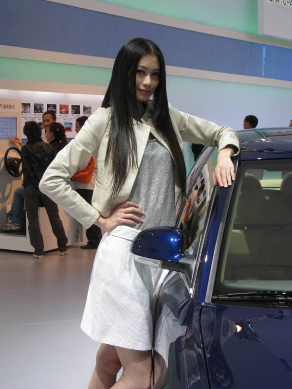 08年广州车展上的香车美女(图9)