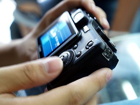 比基尼美女赏花玩水高清图(图8)