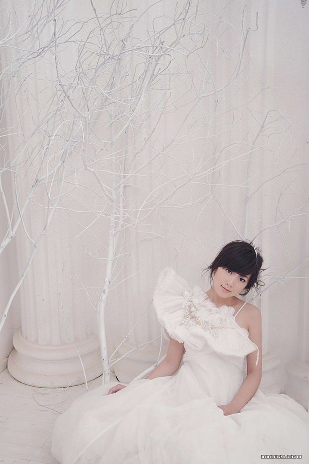 新派婚纱已触及性感底线(图5)