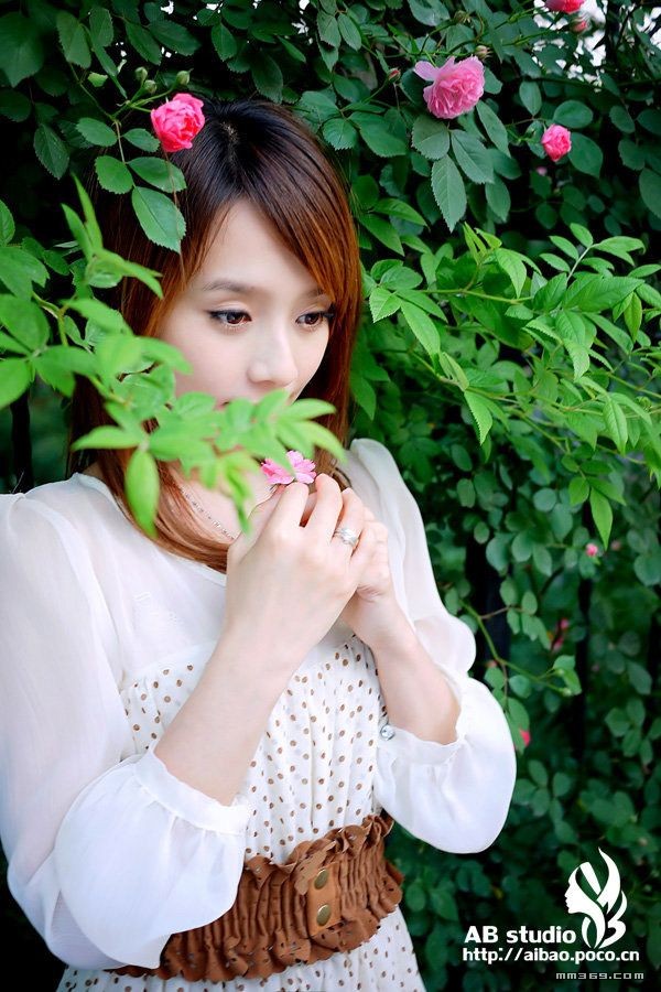 无与伦比的美丽の秘密花园(图2)