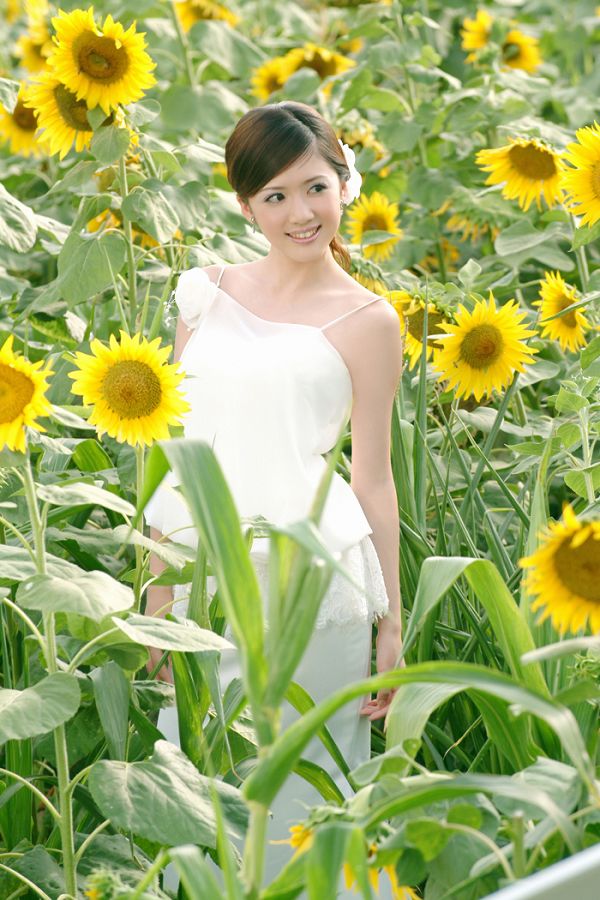 葵花仙子阳光版写真(图3)