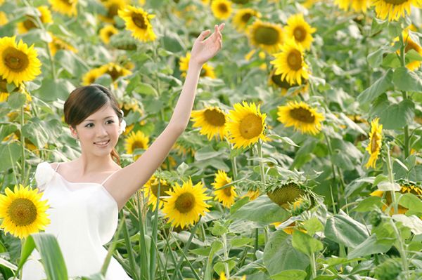 葵花仙子阳光版写真(图5)