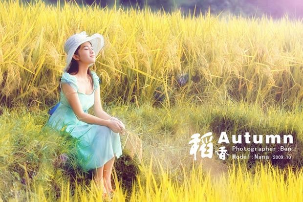 金色稻香主题美女写真(图3)