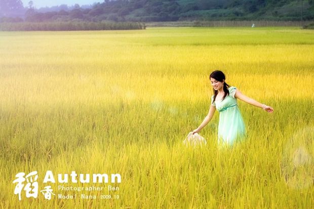 金色稻香主题美女写真(图4)