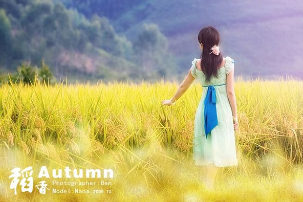 金色稻香主题美女写真(图5)