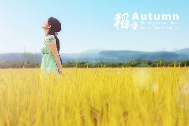 金色稻香主题美女写真(图6)