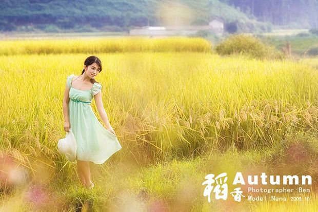 金色稻香主题美女写真(图8)