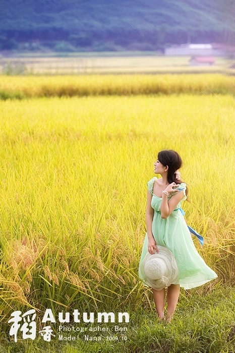 金色稻香主题美女写真(图9)