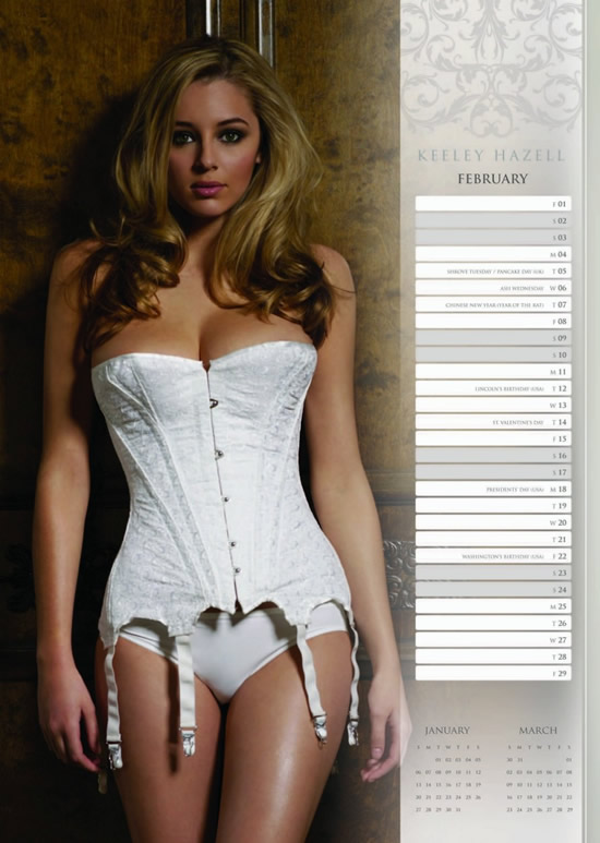 英国红星宝贝内衣火辣性感写真(图18)